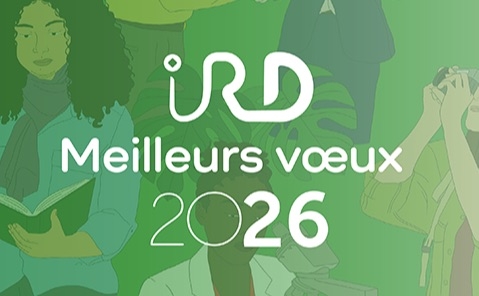 IRD wishes you all the best for 2026